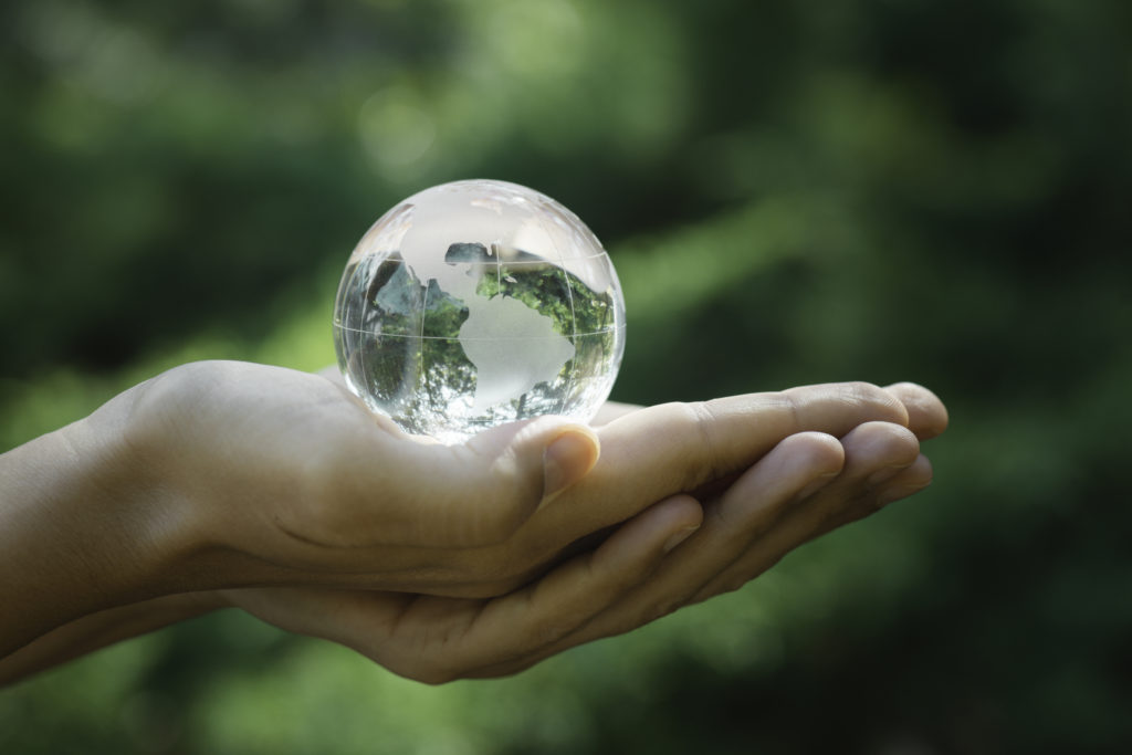 Hand is holding glass globe in forest